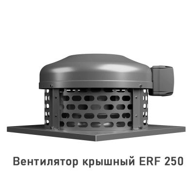 Вентилятор крышный ERF 250, центробежный ERA PRO